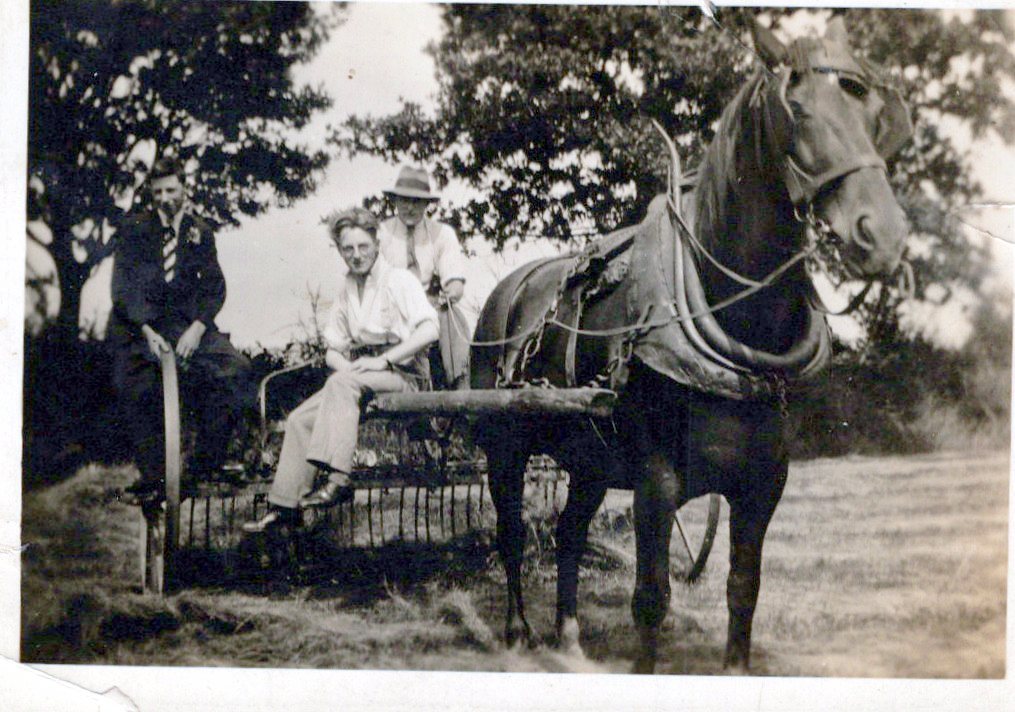 Harvest at Three Nibs