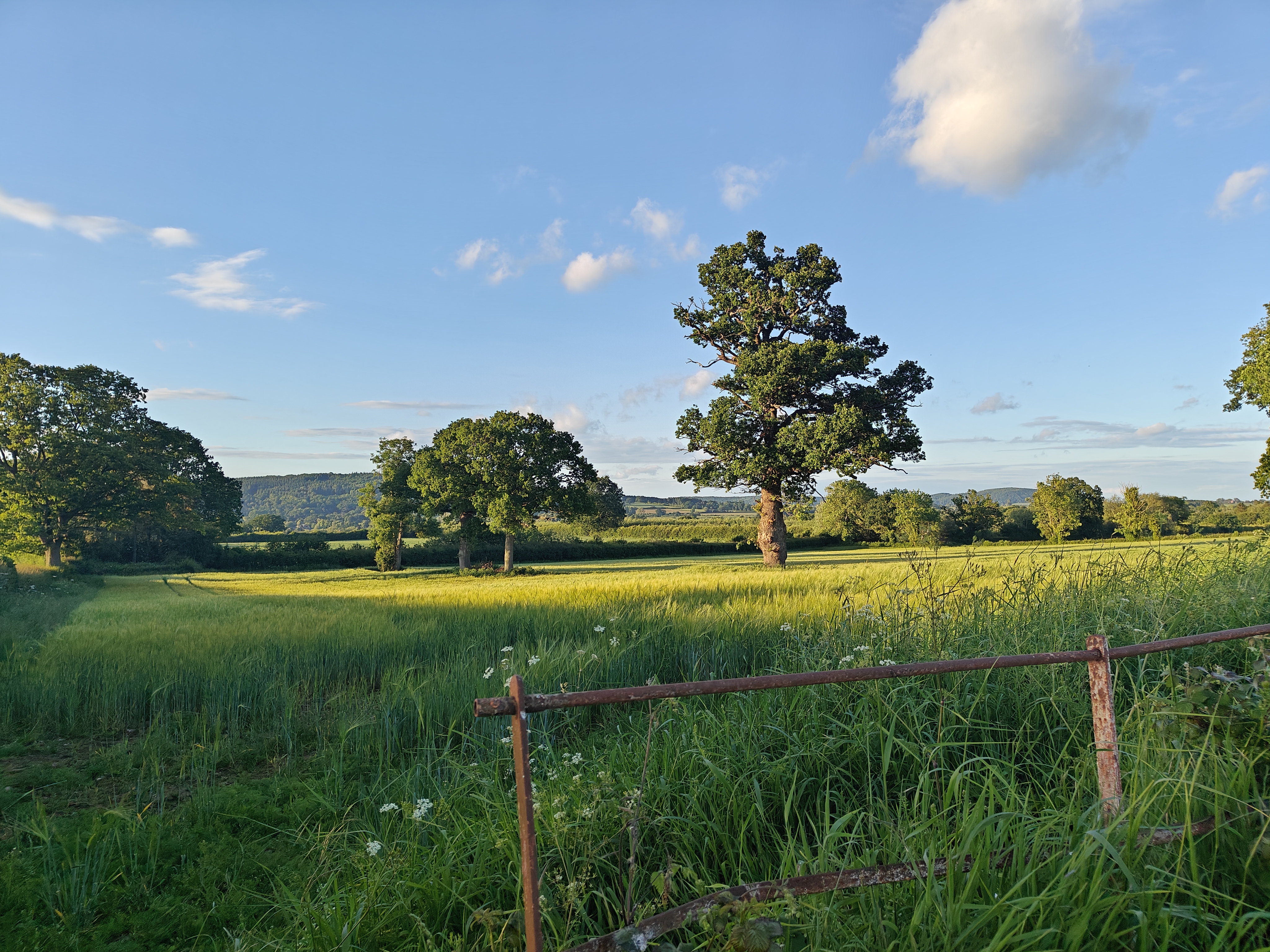 Approach to Preston-on-Wye